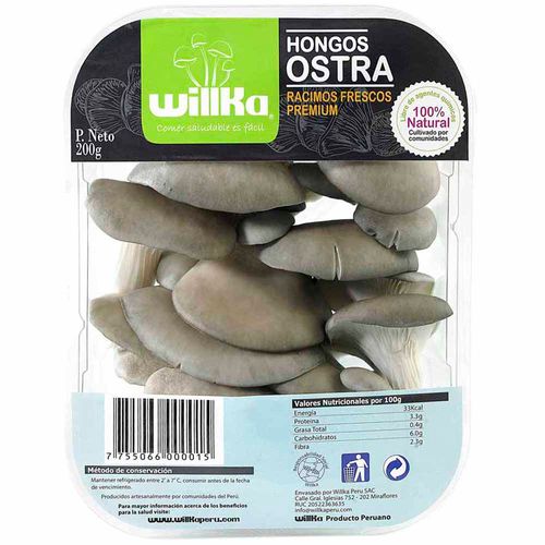 Hongos WILLKA Ostra Bandeja 200g