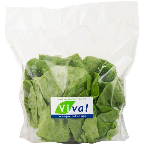 Lechuga Butterhead VIVA Bolsa Unidad