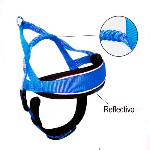 Arnés para Perros - Acolchado y Reflectivo Endurance - Azul L