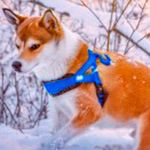image-c537b66576be406b9487ef40b8d87a4b