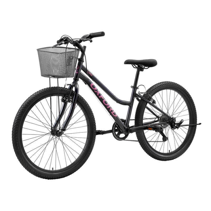 Bicicleta 2025 oxford canasto