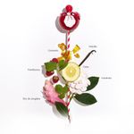 shopStar-3
