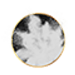 image-2acf94f250a74a4381b652f01c985487