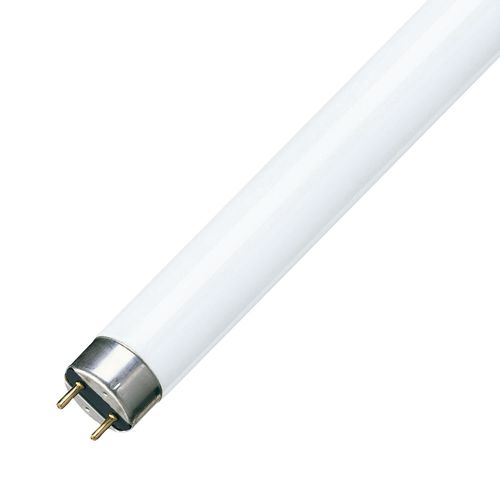 Tubo fluorescente Súper 80 36W/840 G13 Luz Fría