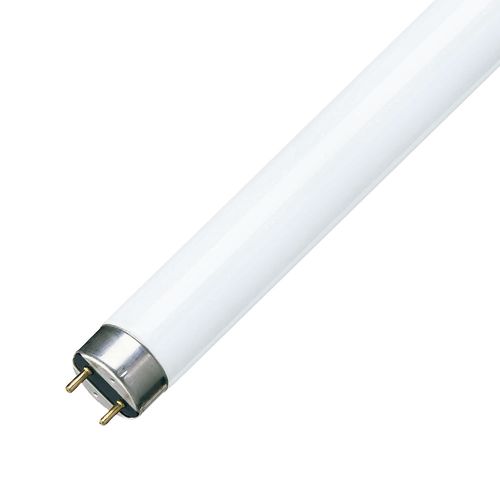 Tubo fluorescente TLD 36W/54-765 G13 Luz Blanca