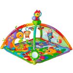 Gimnasio-Musical-y-Proyector-Play-gro-Woodlands