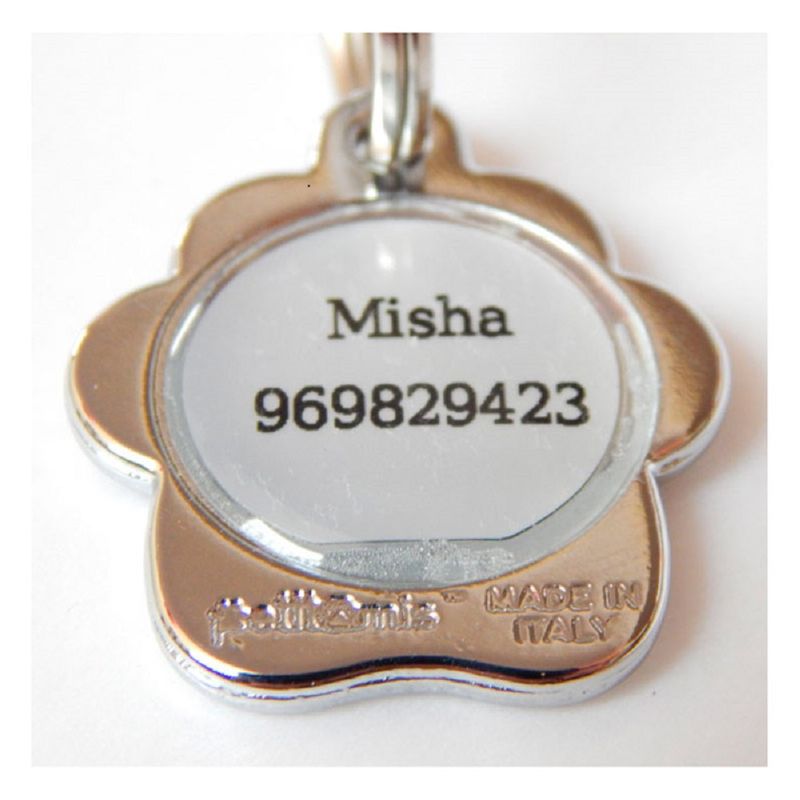 Placa-de-Identificacion-para-perros-Hueso-azul-rainbow-Grande