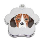 Placa-de-Identificacion-para-perros-Beagle-rainbow