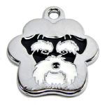 Placa-de-Identificacion-para-perro-Schnauzer-rainbow-Grande