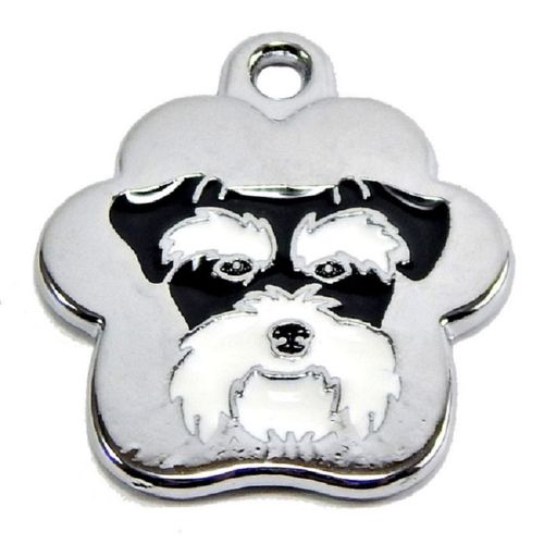 Placa de Identificación para perro Schnauzer rainbow Grande