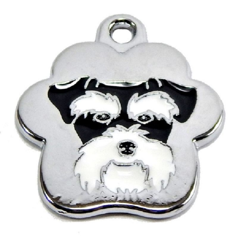 Placa-de-Identificacion-para-perro-Schnauzer-rainbow-Grande