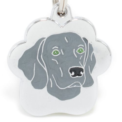 Placa de Identificación para perros Weimaraner rainbow