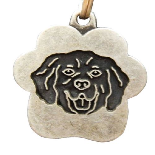 Placa de Identificación para perros Golden Vintage - Grande