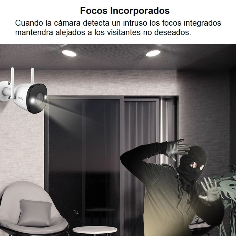 image-777b1393413a4b10a0054d9d9e0a3d51