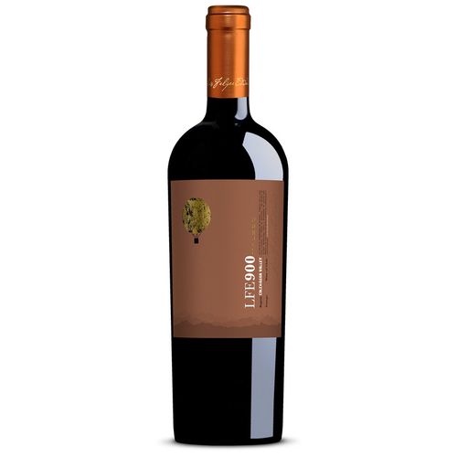 VINO LUIS FELIPE EDWARDS LFE900 MALBEC 2018 - 750 ML