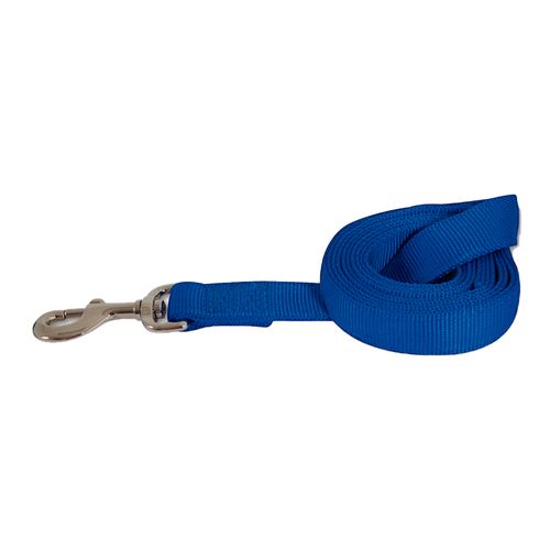 Correa de Nylon para Perros Petmate Color Azul Tamaño 1"x6'