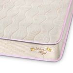 shp-28977-2