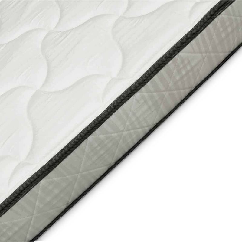 shp-41831-3