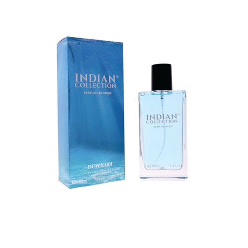 Perfume Hombre X001 Frasco 100ml Realmente Perfume INC