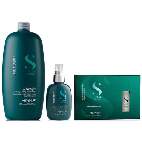 Shampoo Sin Sal 1000ml + Spray+ Ampolla Lotion Alfaparf Reconstruction