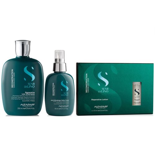 Shampoo Sin Sal 250ml + Spray + Ampollas Alfaparf Reconstruction