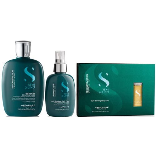 Shampoo Sin Sal 250ml + Spray + Ampollas SOS Alfaparf Reconstruction