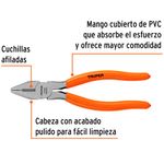 image-f5b9d1f1eb8a43b6bf5cacf52aa7fe69