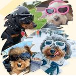 Lentes-o-Gafas-para-Perros-Color-Amarillo