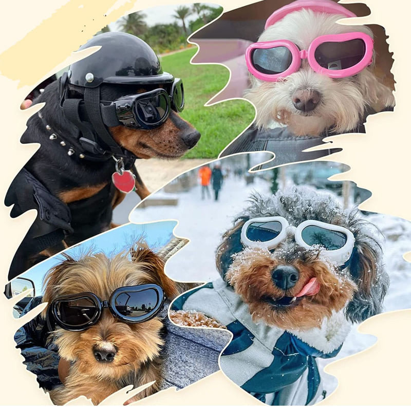 Lentes-o-Gafas-para-Perros-Color-Amarillo