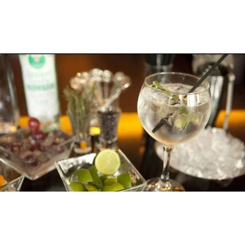 6 copas para Gin tonic y mas cócteles