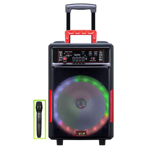 Parlante Inalámbrico Portátil Karaoke Microfono Control 50W 15"