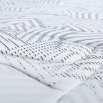 shp-1243181-5