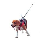 -Arnes-De-Perro-Doco-Ajustable-L-Plomo-65-99-Cm-Con-Regalo