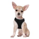 -Arnes-De-Perro-Doco-Athletica-M-Negro-41-A-44-Cm-Y-Regalo