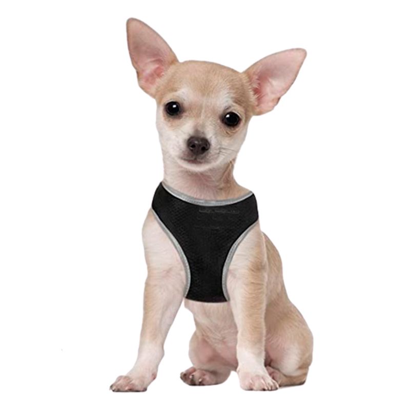 -Arnes-De-Perro-Doco-Athletica-M-Negro-41-A-44-Cm-Y-Regalo