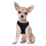 -Arnes-De-Perro-Doco-Athletica-Xs-Naranja-34-36-Cm-Y-Regalo