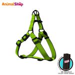 Arnes-Para-Perro-Doco-Martin-Bean-S-Verde-15-X-45-63Cm