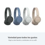 image-9de1f9ae7b1f40f1b287dbe3f6327ba7