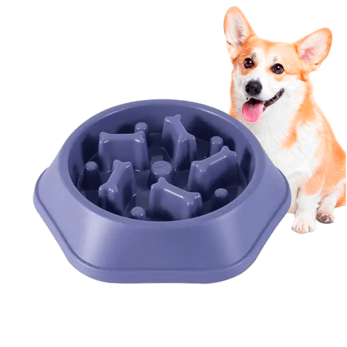 Plato Antiansiedad Para Perros Modelo Huesitos – Morado