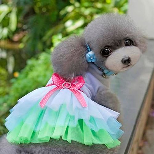 DISFRAZ PARA PERRO VESTIDO PRINCESA VERDE Y AZUL TALLA S SANLLO