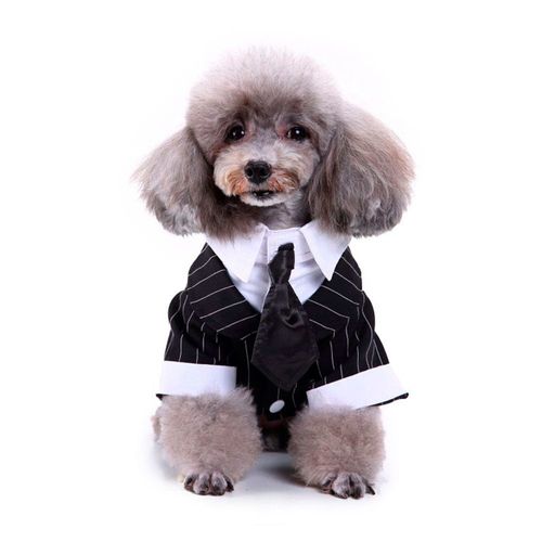 DISFRAZ  PARA PERRO TRAJE DE BODA NEGRO Y BLANCO TALLA M LOAIZAR