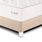 shp-1400683-1
