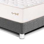 shp-1400873-1