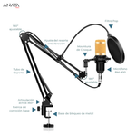 Microfono-Condensador-BM800-Con-Brazo-soporte-y-Filtro---Dorado