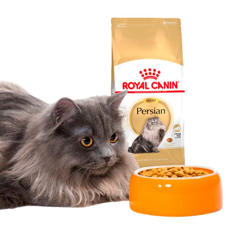 Comida-de-Gatos-Persian-Royal-Canin-Fbn---12-Meses-10kg