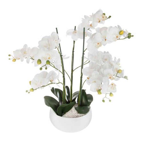 Orquidea en maceta cerámica Blanca 65cm
