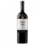 Casillero-del-Diablo-Malbec--750-ML