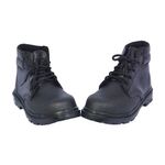 shp-12564-0