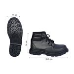 shp-12564-1