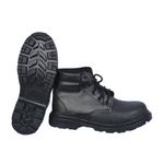 shp-12564-3